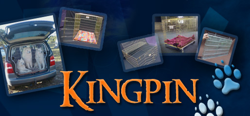 Kingpin dog crates online